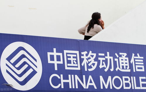 2022年 中國移動及員工在信息咨詢服務(wù)領(lǐng)域的機遇與展望