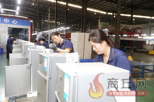 科技賦能，技術(shù)開發(fā)驅(qū)動冷產(chǎn)業(yè)轉(zhuǎn)型升級新篇章